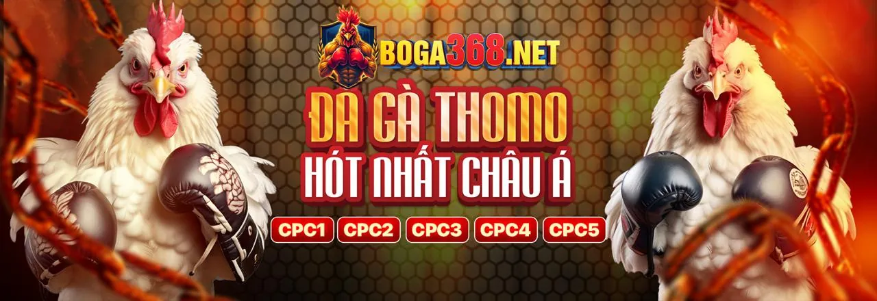 Sân đá gà trực tuyến cf789 link vào với không khí sôi động